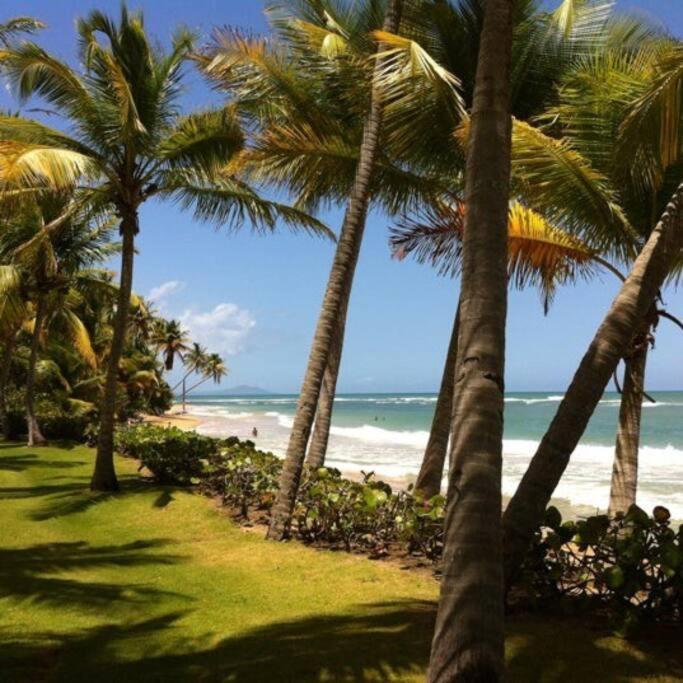 Apartament Beach Access + 3 Pools + Ocean Views - 2Br In Palmas - Sleeps 7 Humacao Zewnętrze zdjęcie
